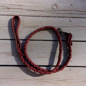 Ray Allen Deluxe Full-Braided Leather Dog Leash